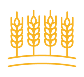 Certifikát GMP+